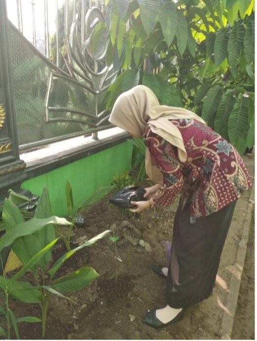 Penanaman Pohon/Tanaman